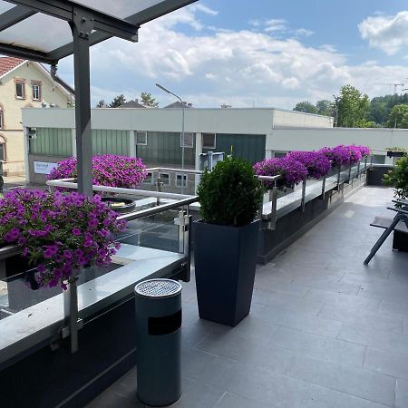 Guenstiges Gruenes Ferienzimmer Mit Separater Moderner Dusche Lörrach Εξωτερικό φωτογραφία